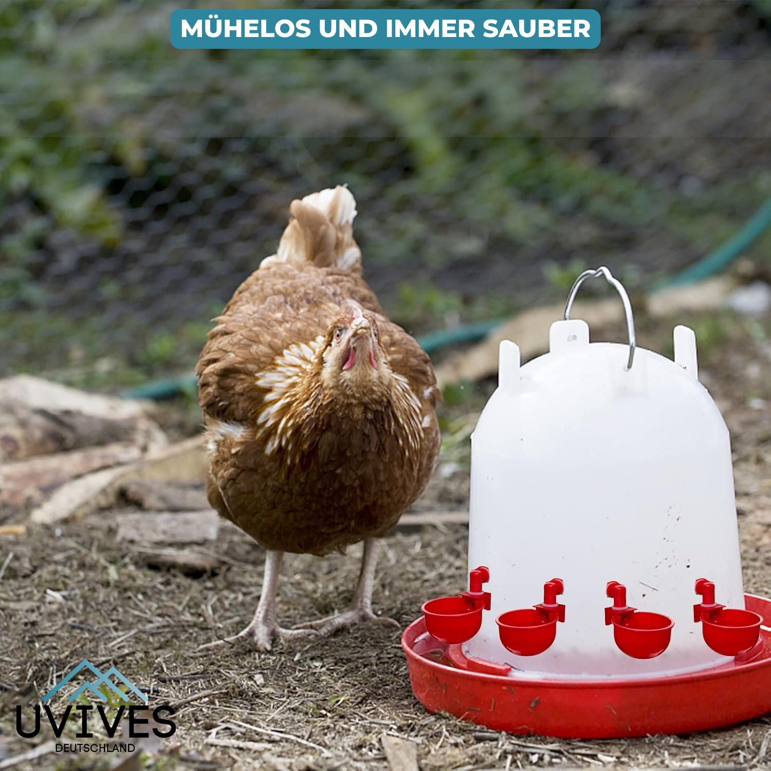 3+3 FREE | AquaNest - Fresh water for happy animals