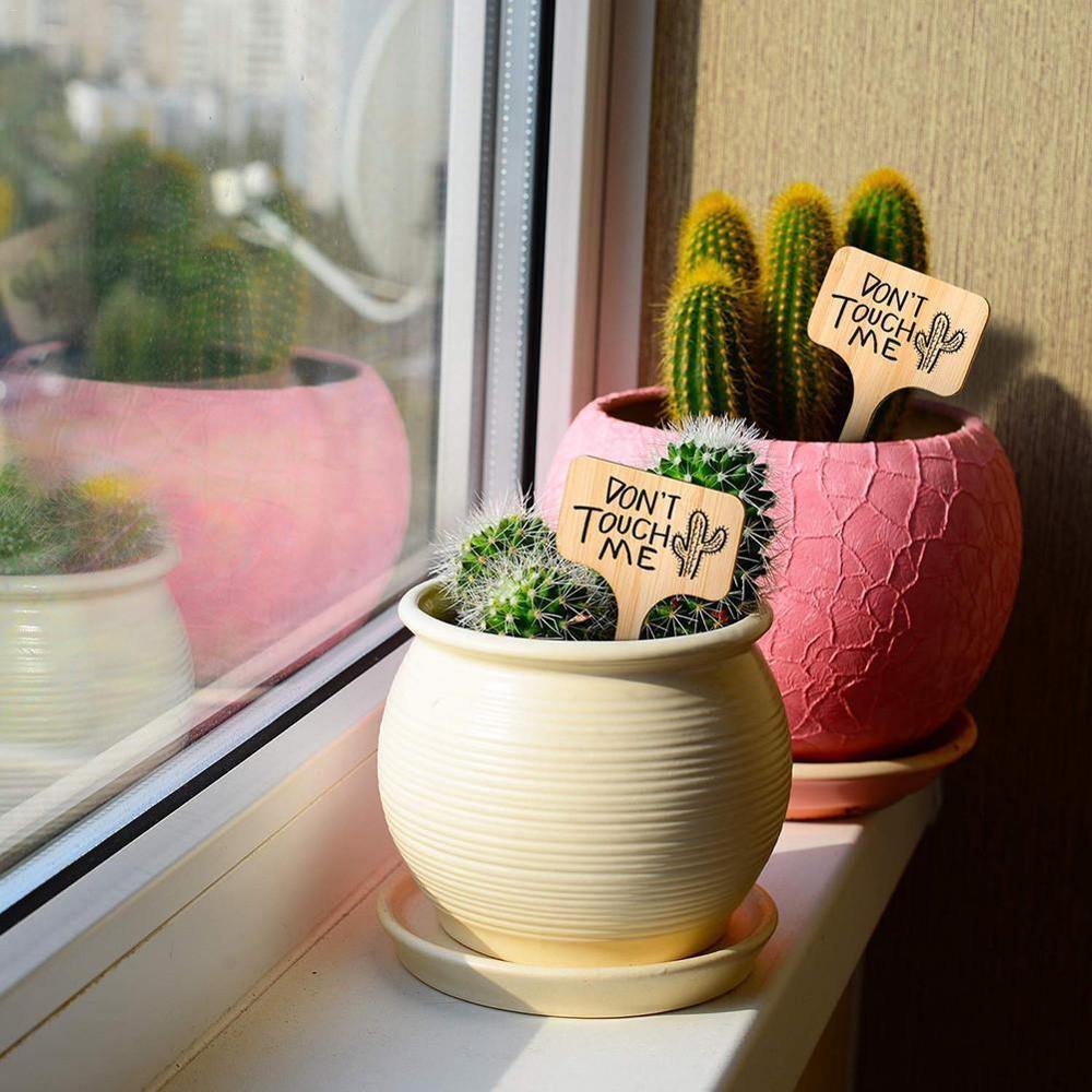 PlantSign - Bamboo plant signs for garden & decoration