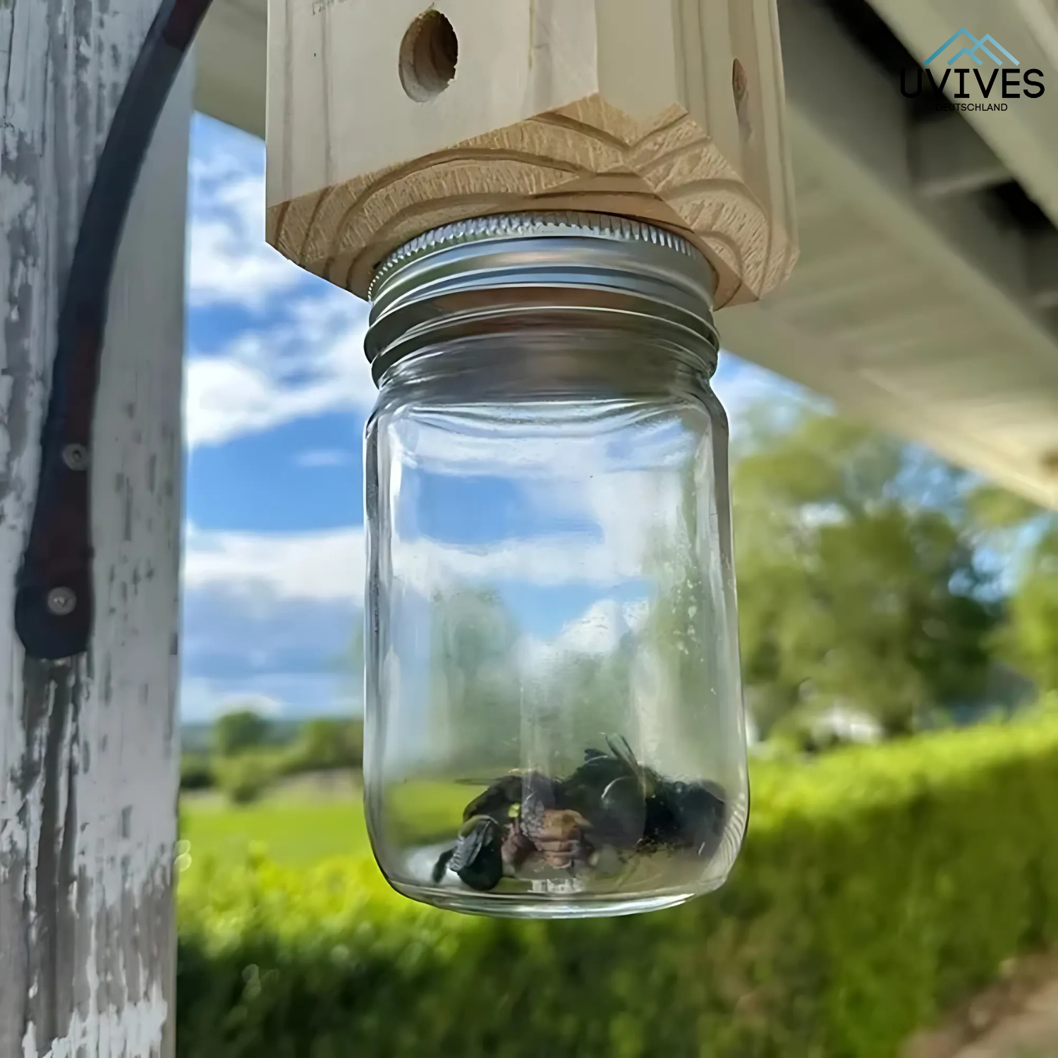 WoodGuard – Chemical-Free Carpenter Bee Trap for Wooden Surfaces