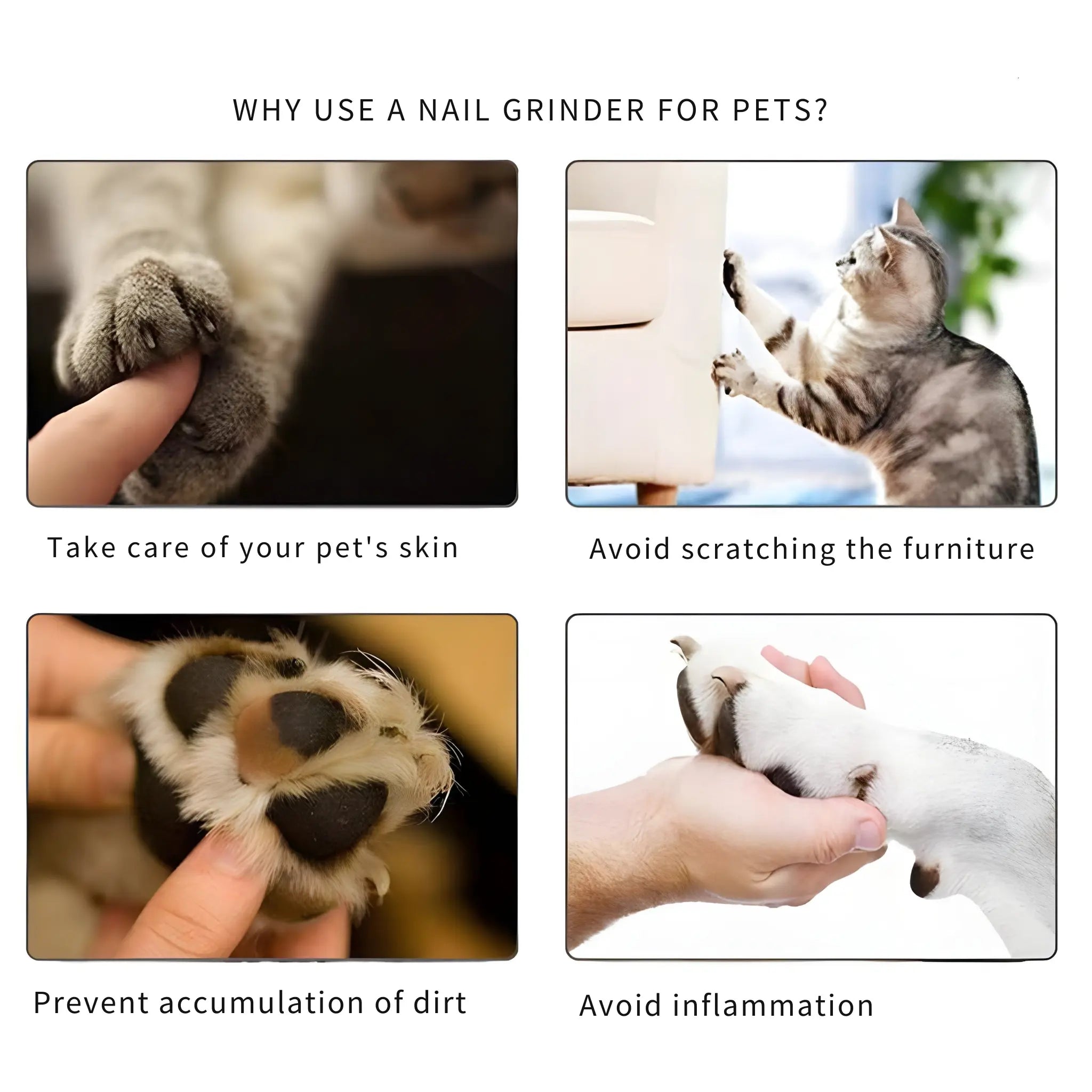ManiPet – Gentle Paw Care Without Stress