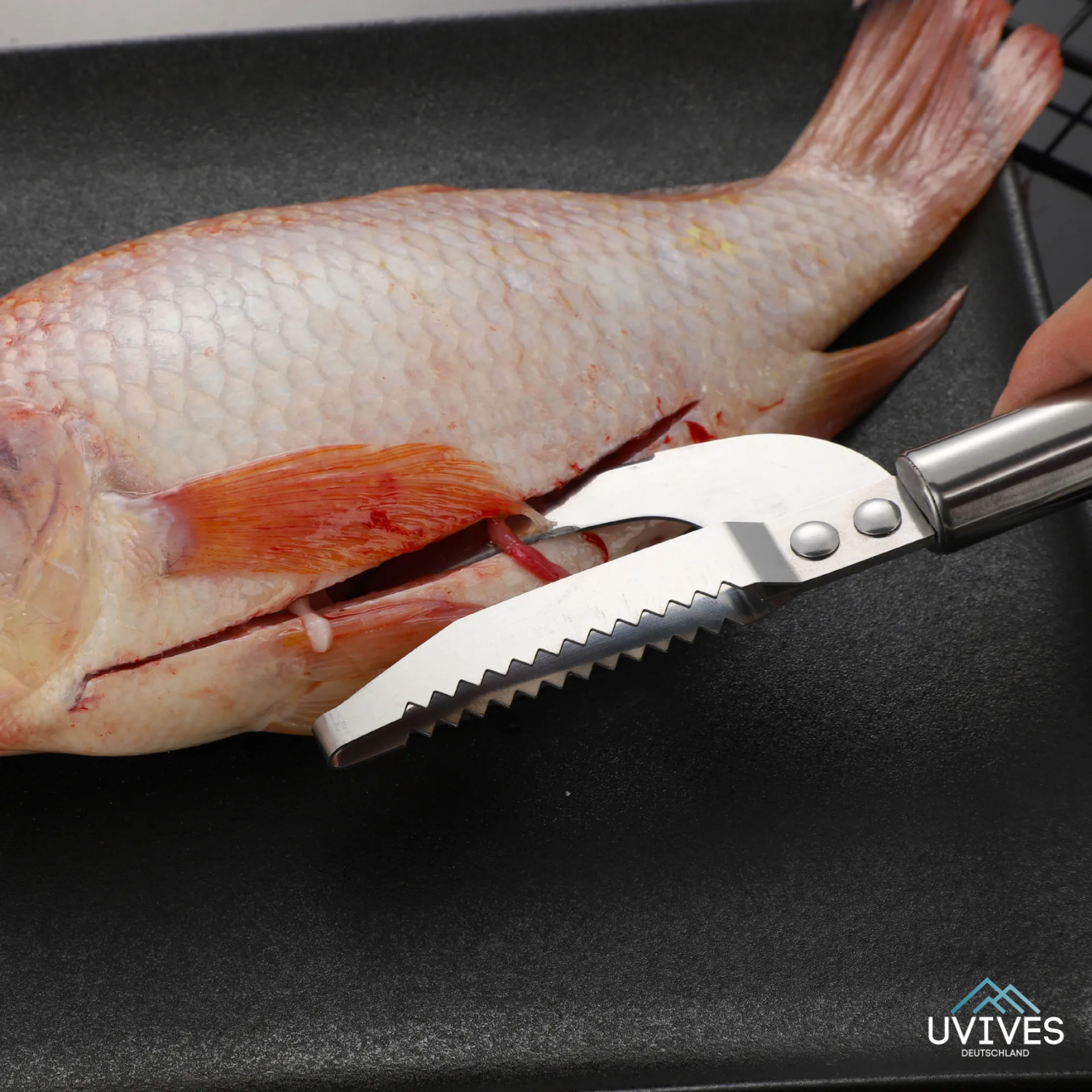 1+1 FREE | ScaleMaster 3in1 – Fresh Fish Made Easy!