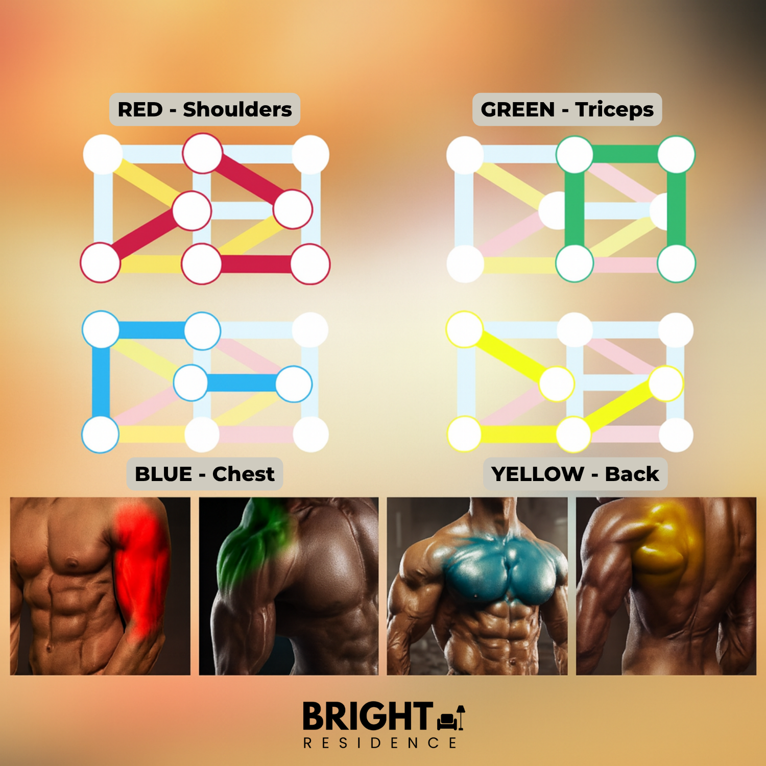 PowerPush Pro – Ultimate Home Workout for Total Body Strength