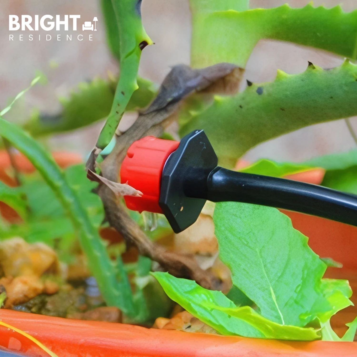AquaDrip – Precision Watering for Your Plants, Effortlessly (Set of 100)