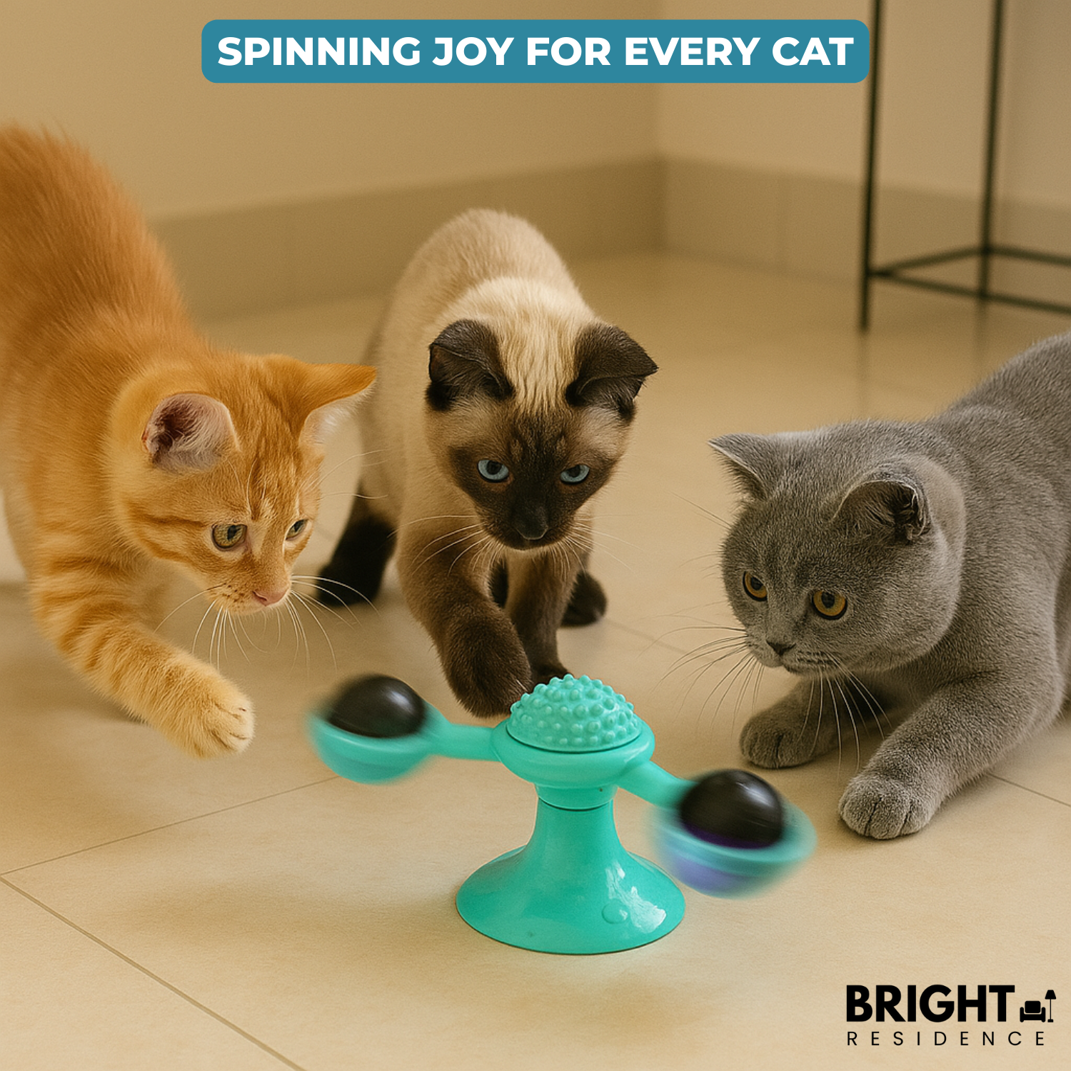 SpinPaw™ - Endless fun & exercise for your cat!