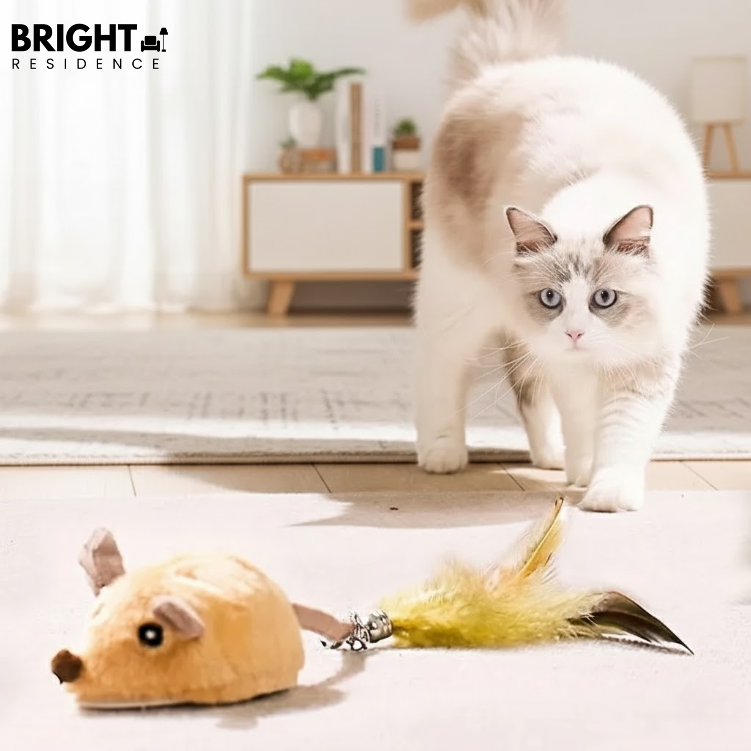 CatChase – The wild hunting fun for curious cats!