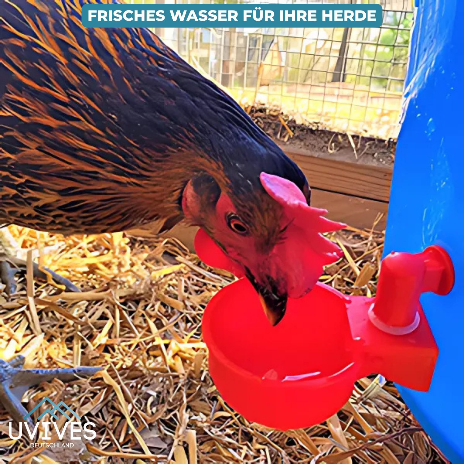 3+3 FREE | AquaNest - Fresh water for happy animals
