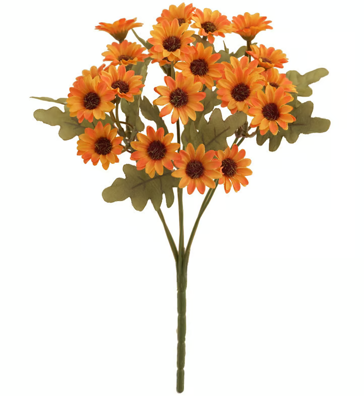 AutumnBloom – Permanent Autumn Splendor Without Maintenance!