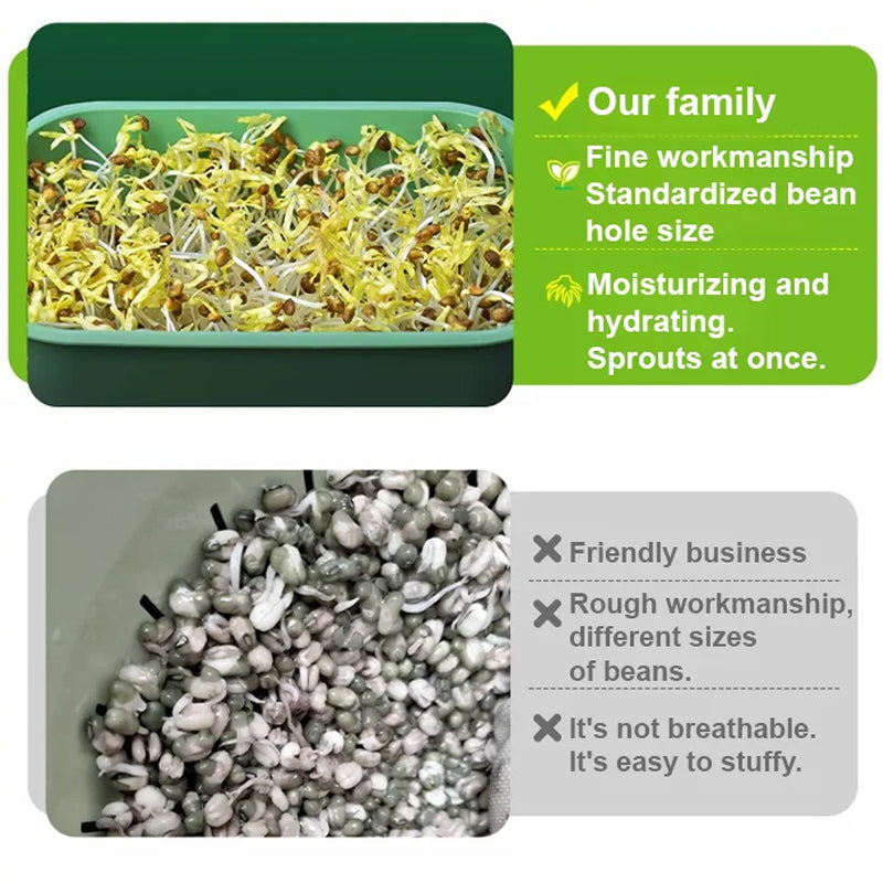1+1 FREE | GreenBox – Fresh sprouts grown by yourself every day
