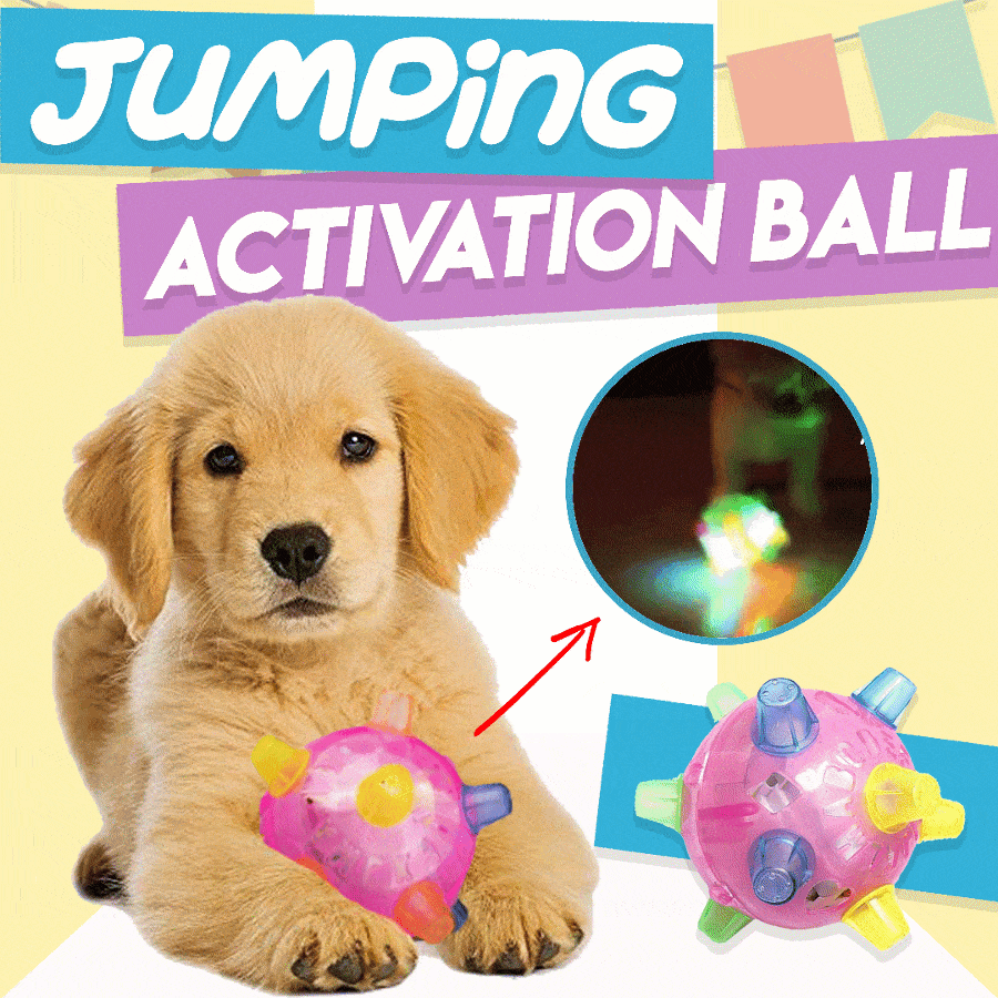 1+1 FREE | BounceBuddy™ - The interactive bouncy ball for dogs!