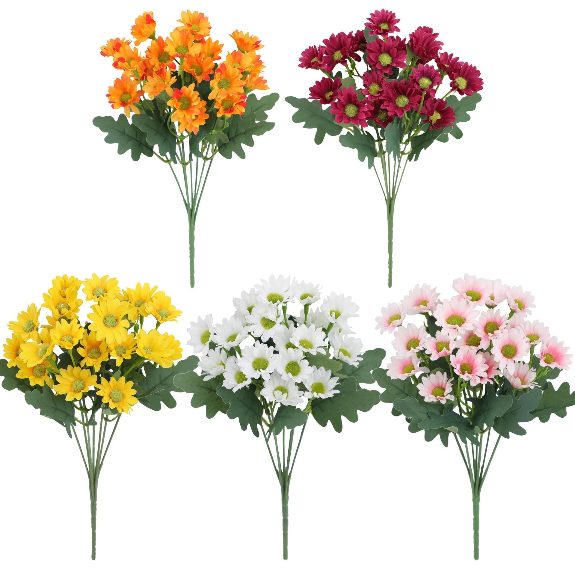 1+1 FREE | EverDaisies – Radiant Beauty That Never Withers!