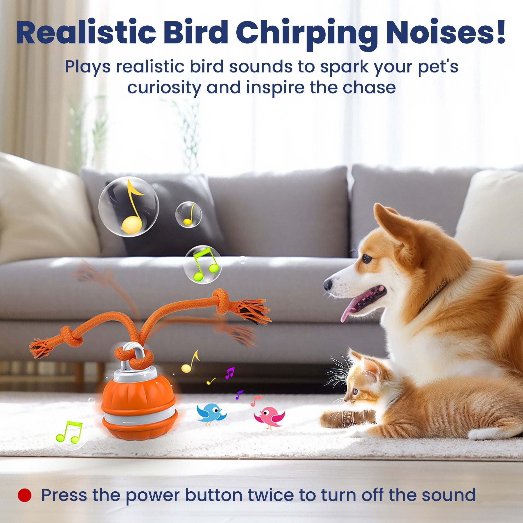 PawiBall – Finally a Happy & Fulfilled Dog