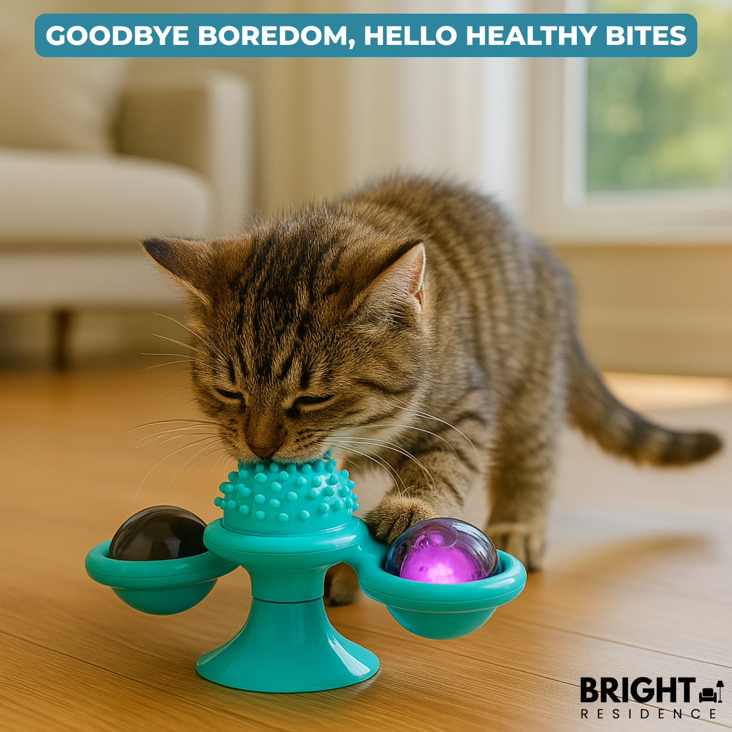 SpinPaw™ - Endless fun & exercise for your cat!