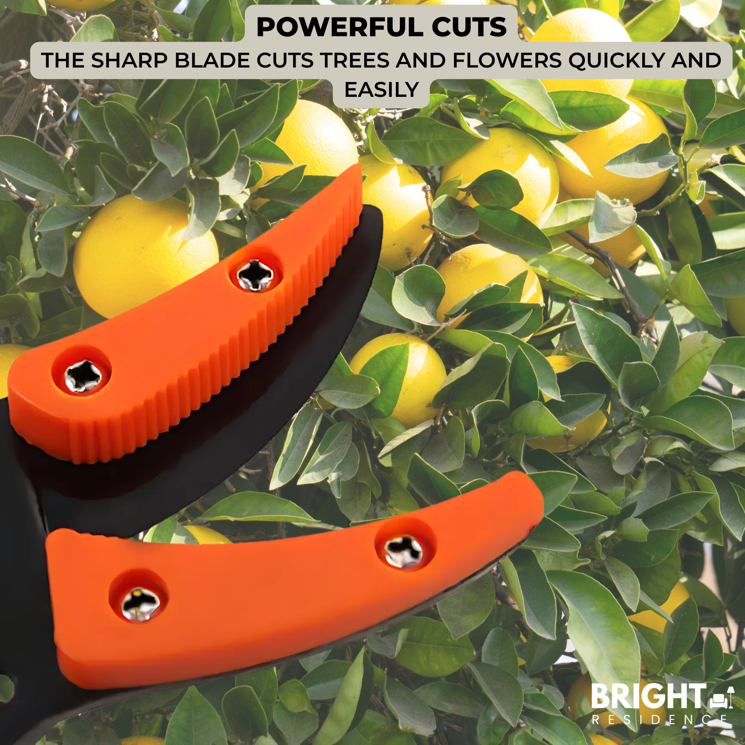 TrimReach - Effortless trimming of high hedges