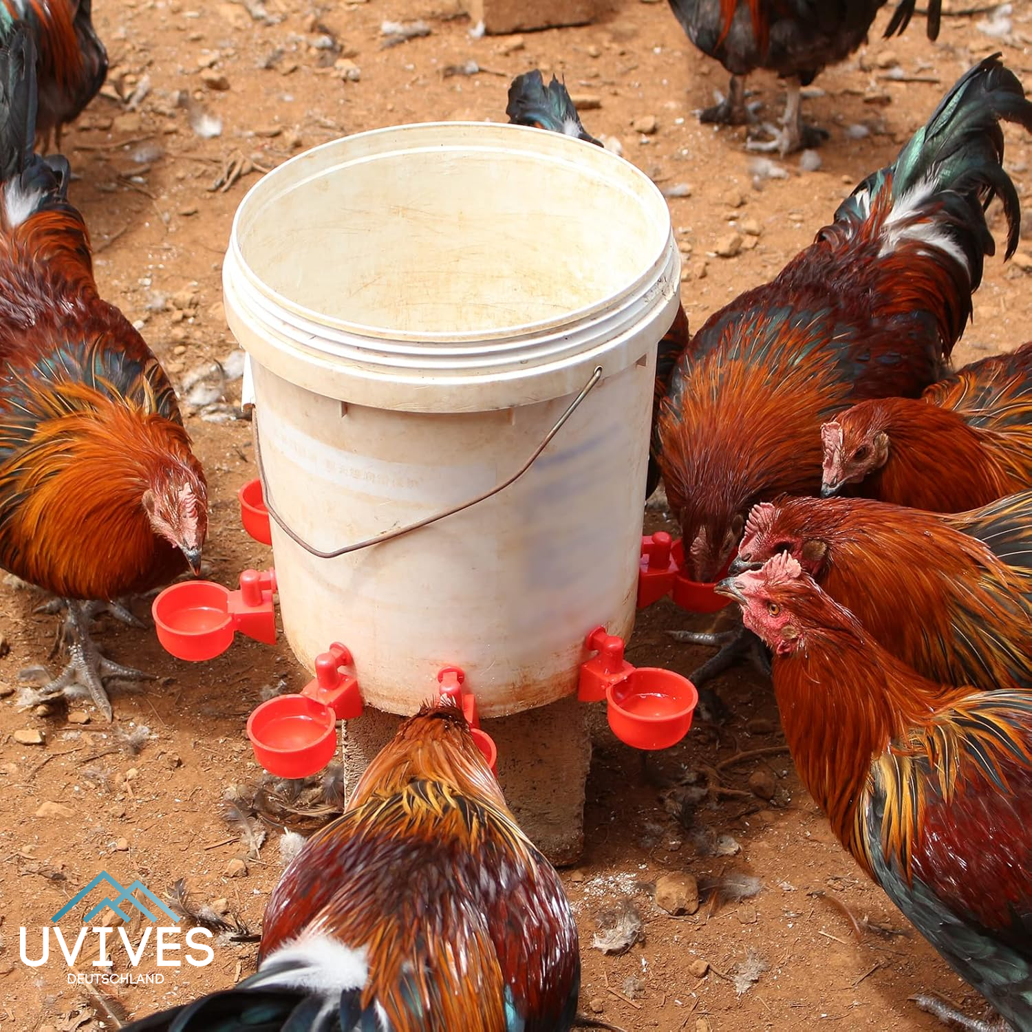 3+3 FREE | AquaNest - Fresh water for happy animals