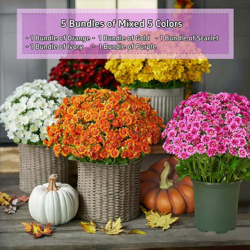 AutumnBloom – Permanent Autumn Splendor Without Maintenance!