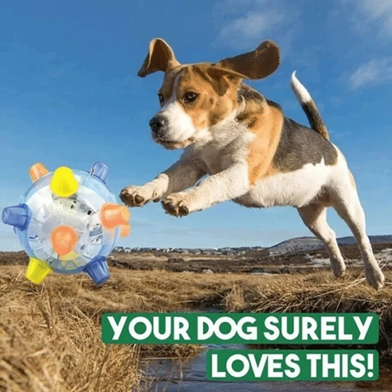 1+1 FREE | BounceBuddy™ - The interactive bouncy ball for dogs!