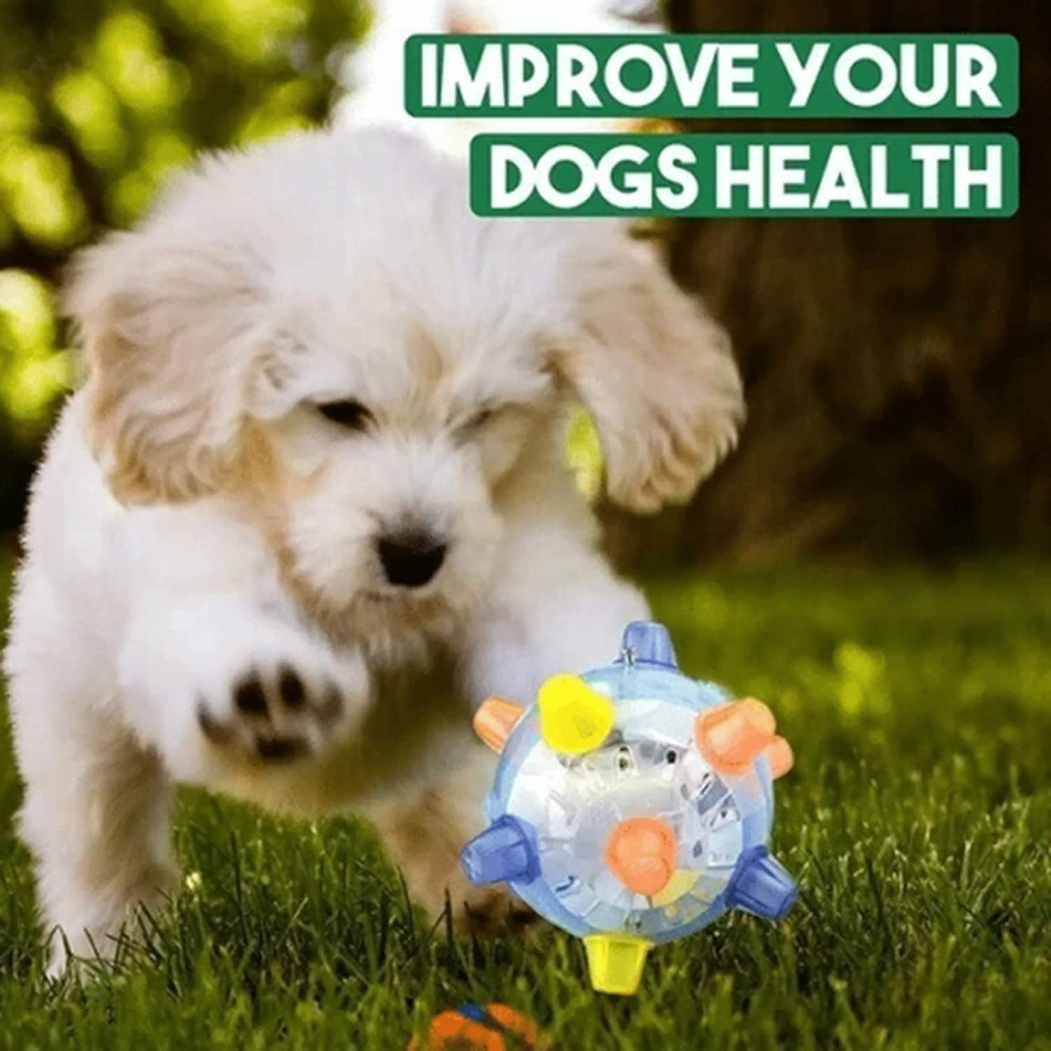 1+1 FREE | BounceBuddy™ - The interactive bouncy ball for dogs!