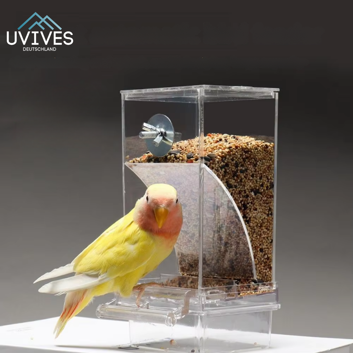 BirdFeed - Clean feeding, happy birds, less effort
