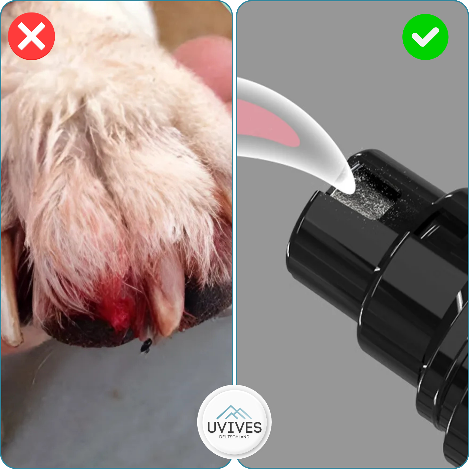 TrimPaw – The Quiet & Safe Nail Grinder for Your Dog