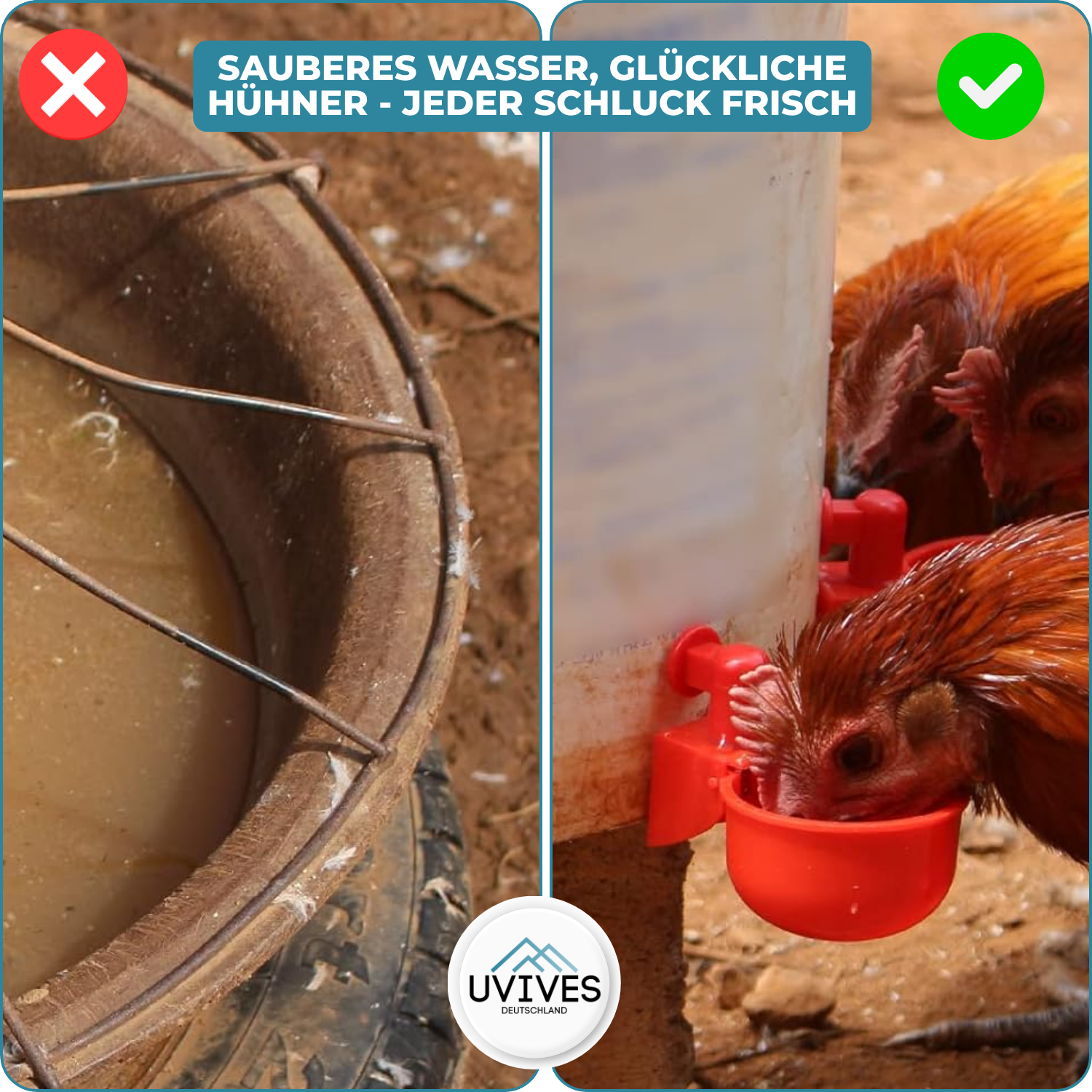 3+3 FREE | AquaNest - Fresh water for happy animals