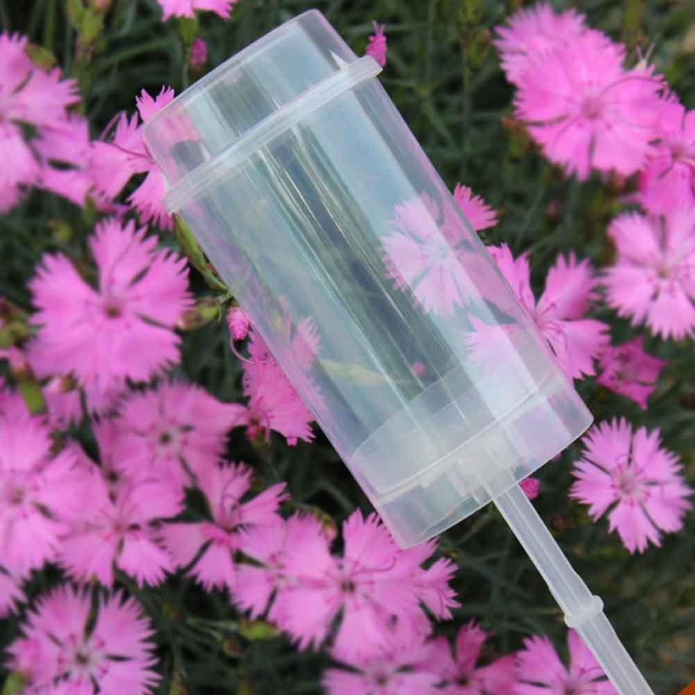 SweetLayers – Clean Cake Delight to Take Away!