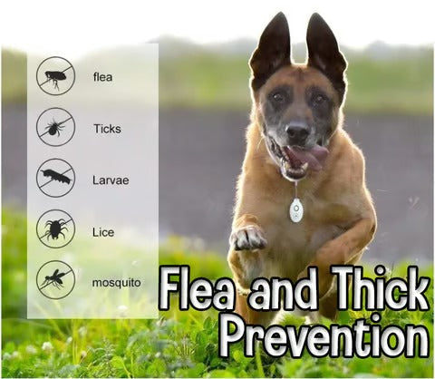 1+1 FREE | TickBlock – Protection Against Ticks Without Chemicals!