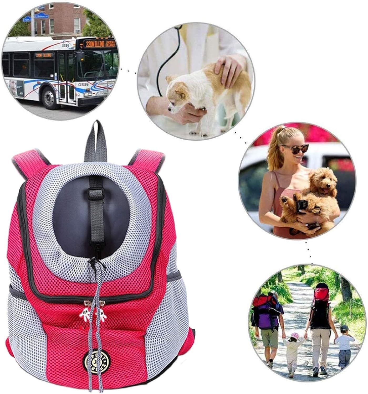 PawCarry – Your Pet's Perfect Travel Companion