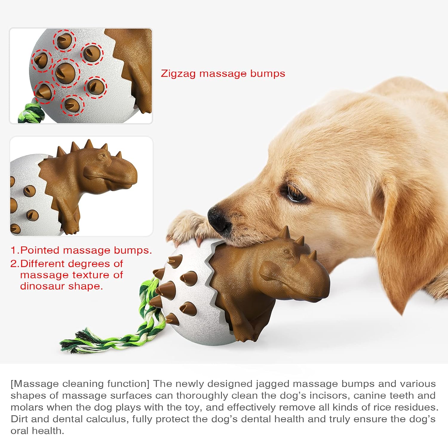 DinoEgg – The indestructible chew egg for healthy dog teeth!