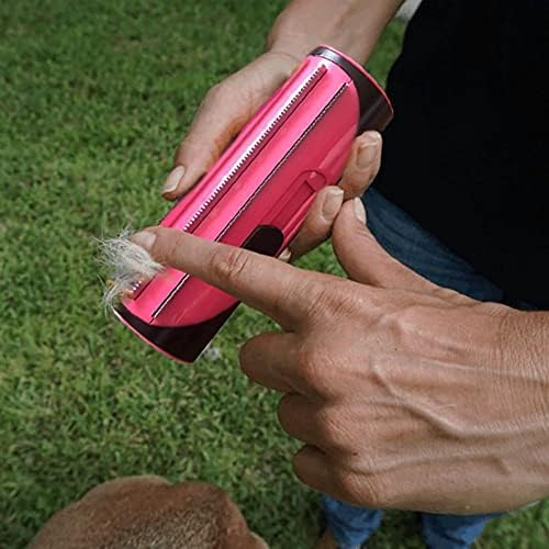 PetCare – For shiny coats & happy pets!