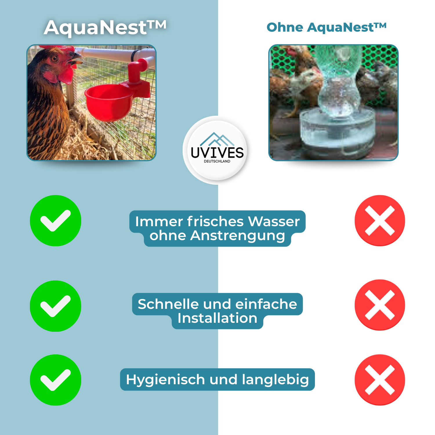 3+3 FREE | AquaNest - Fresh water for happy animals