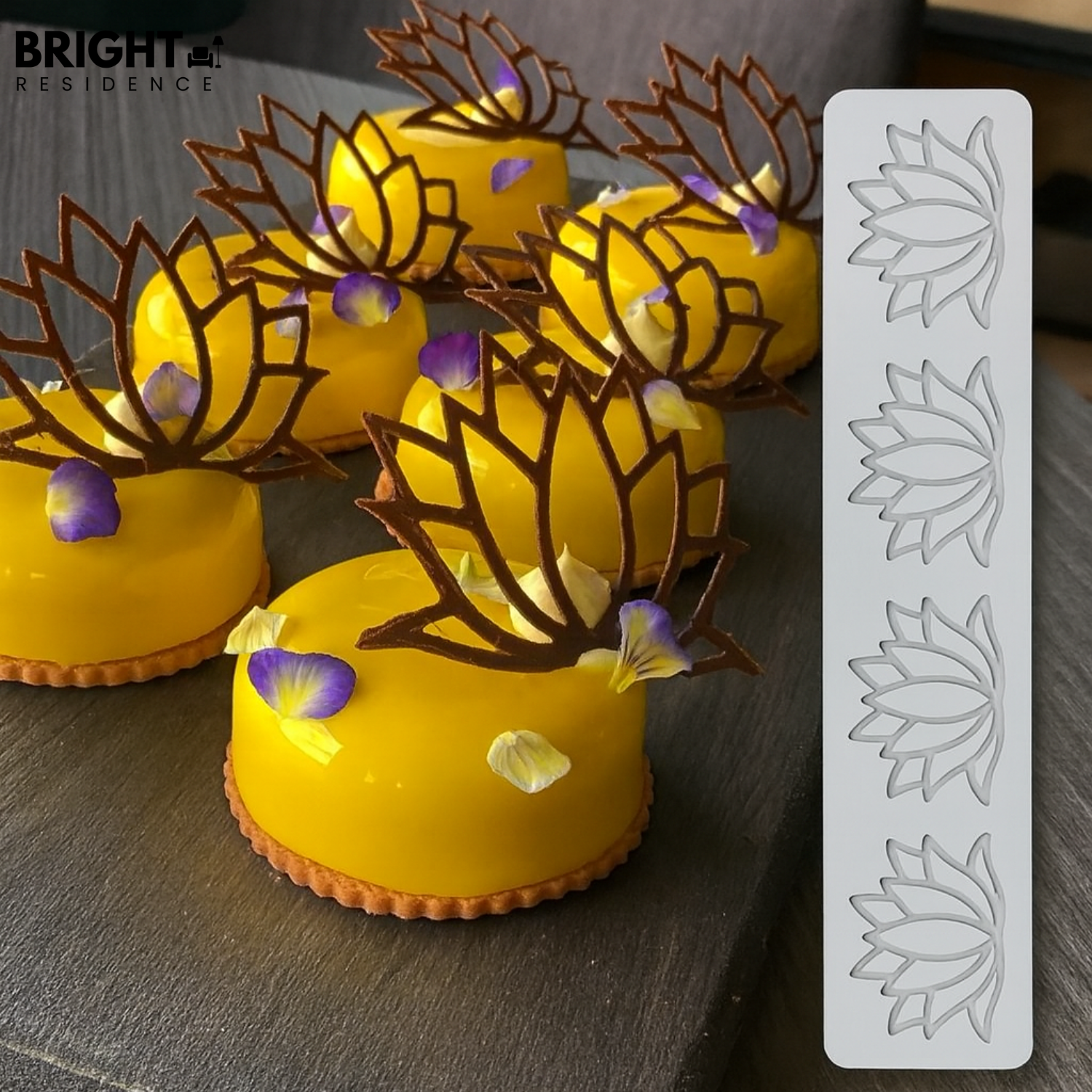 PlateMuse – Transform Your Meals into Culinary Art