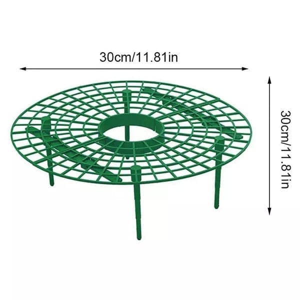 1+2 FREE | GrowBerry - Strawberry growing frame