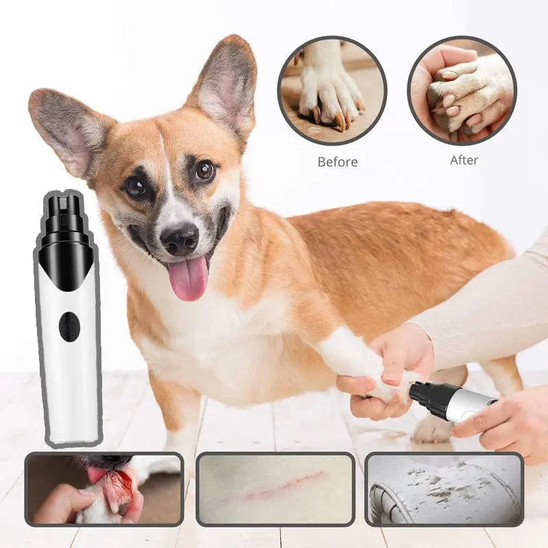 ManiPet – Gentle Paw Care Without Stress