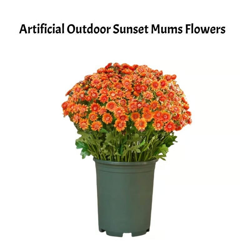 AutumnBloom – Permanent Autumn Splendor Without Maintenance!