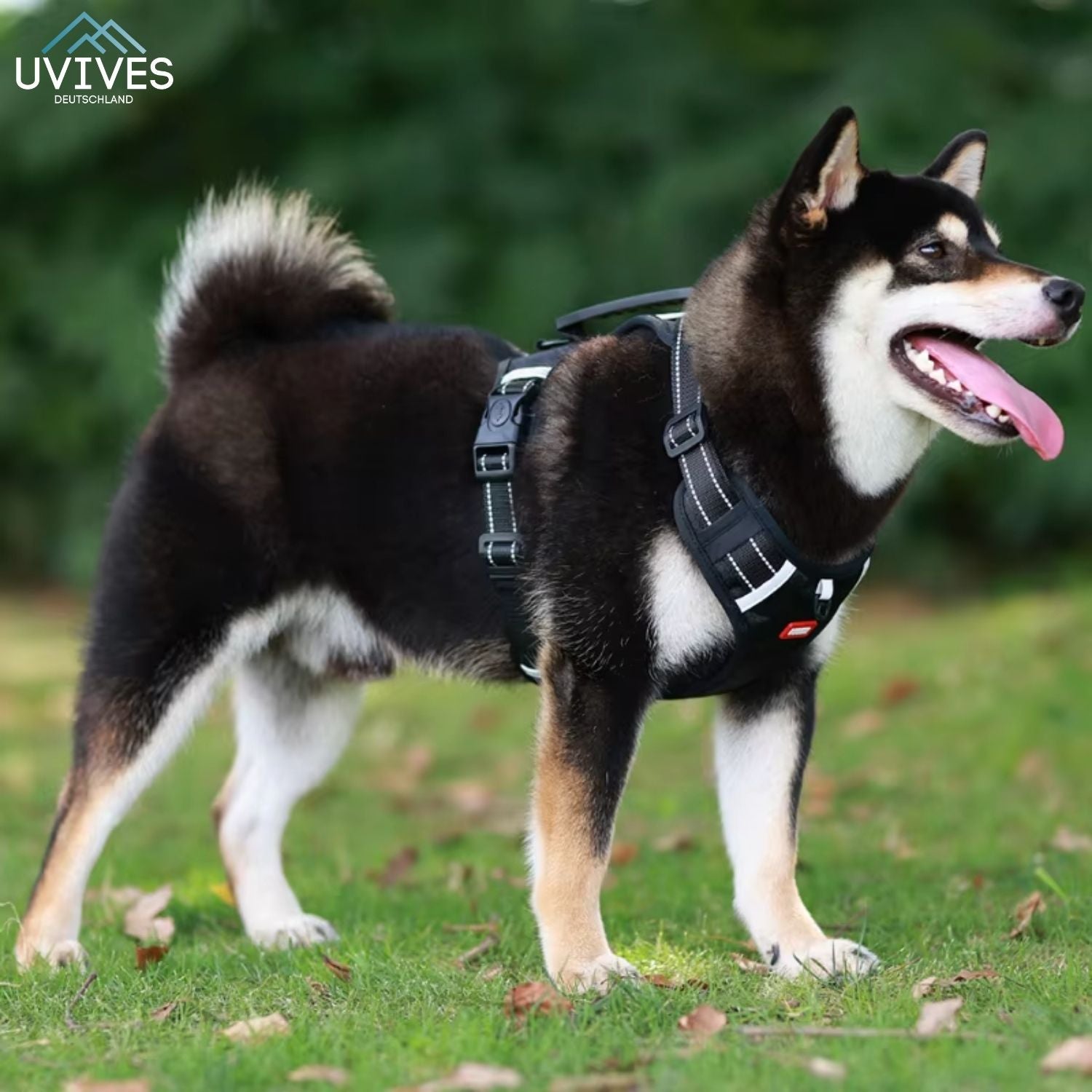 TailMate™ - The comfortable dog harness