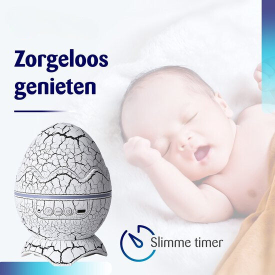 DinoDream – Magical Nights for Young and Old