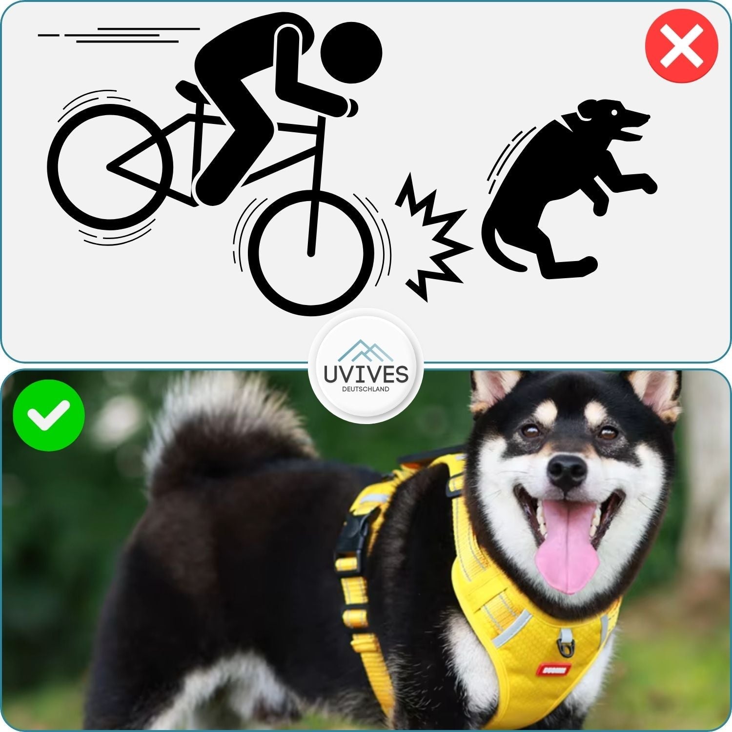 TailMate™ - The comfortable dog harness