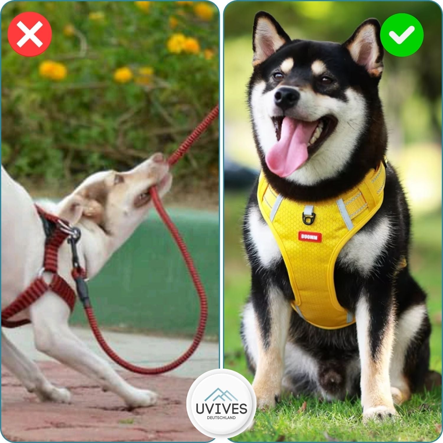 TailMate™ - The comfortable dog harness