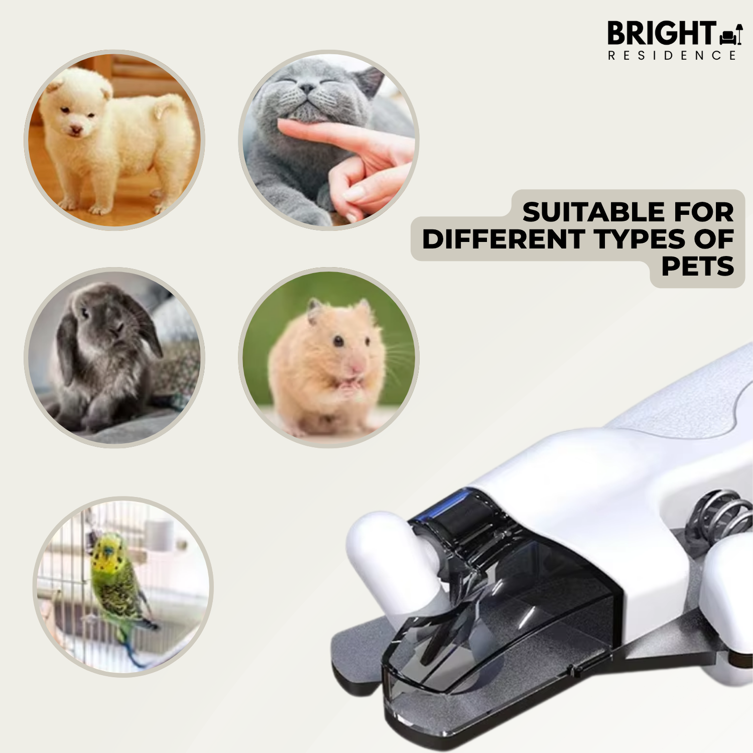 NailGuard - Safe nail care for your pet