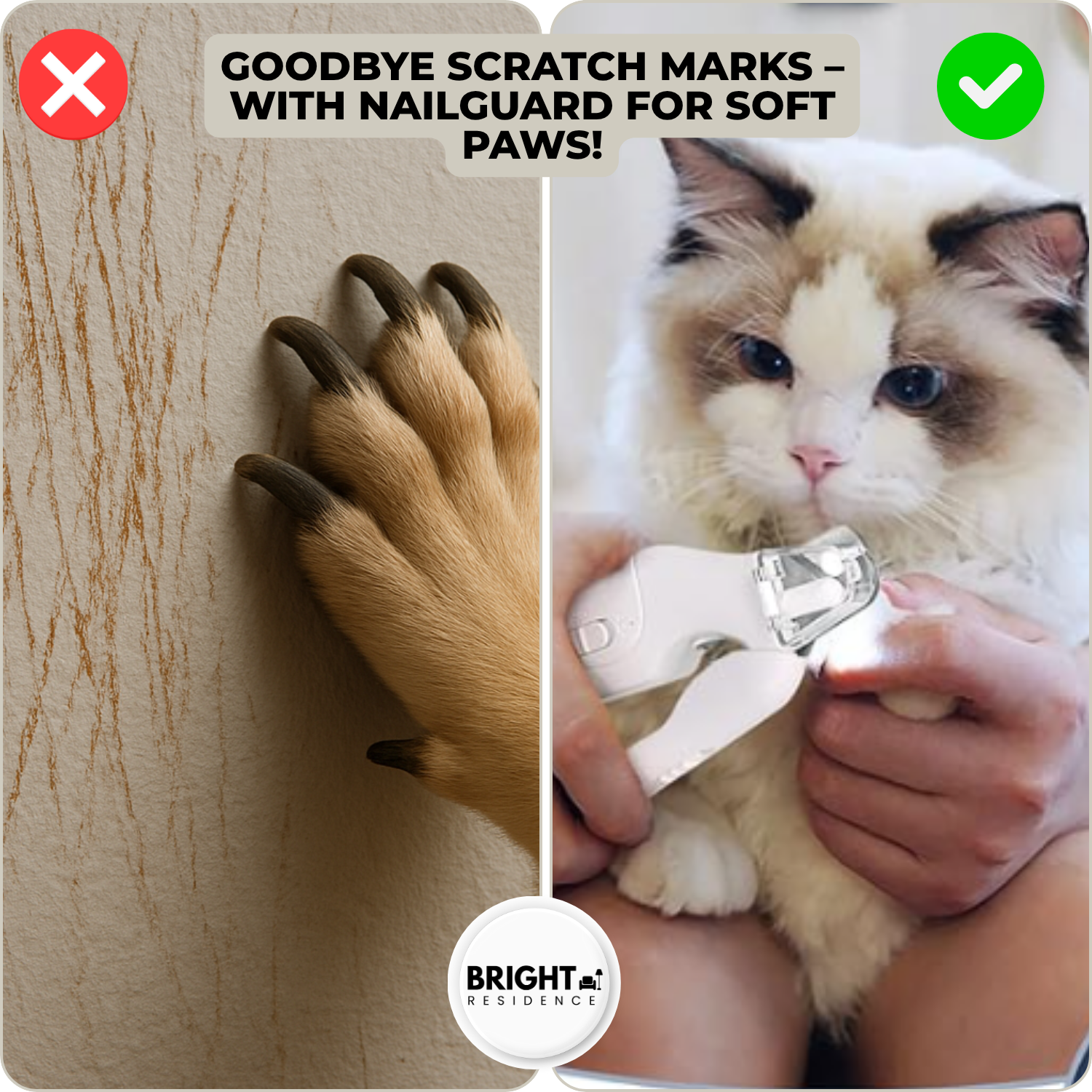 NailGuard - Safe nail care for your pet