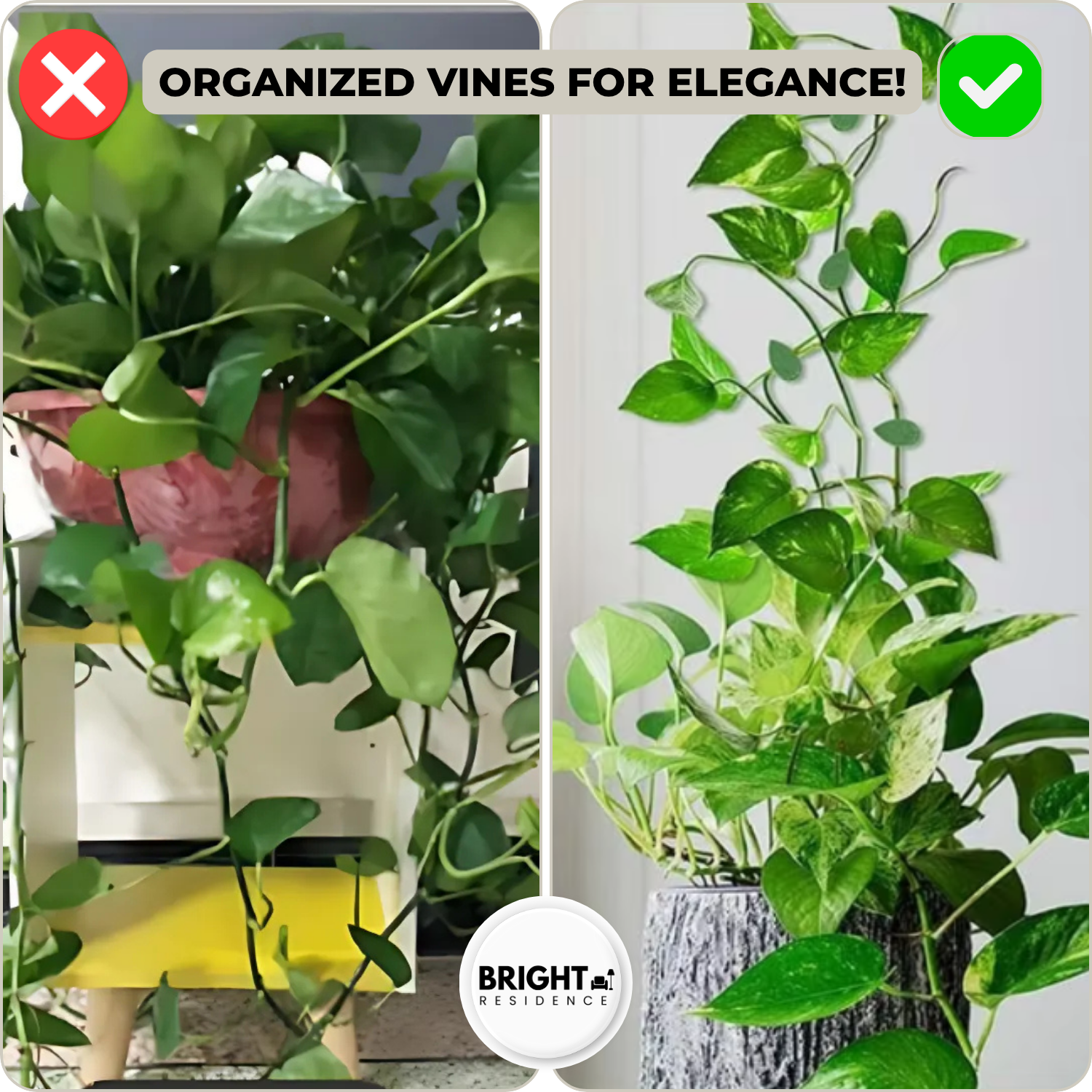 10+10 FREE | GrowGrip™ - plant fastening clips
