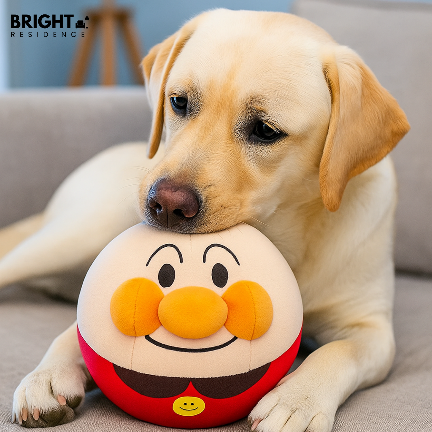 PawMotion - hours of play without boredom