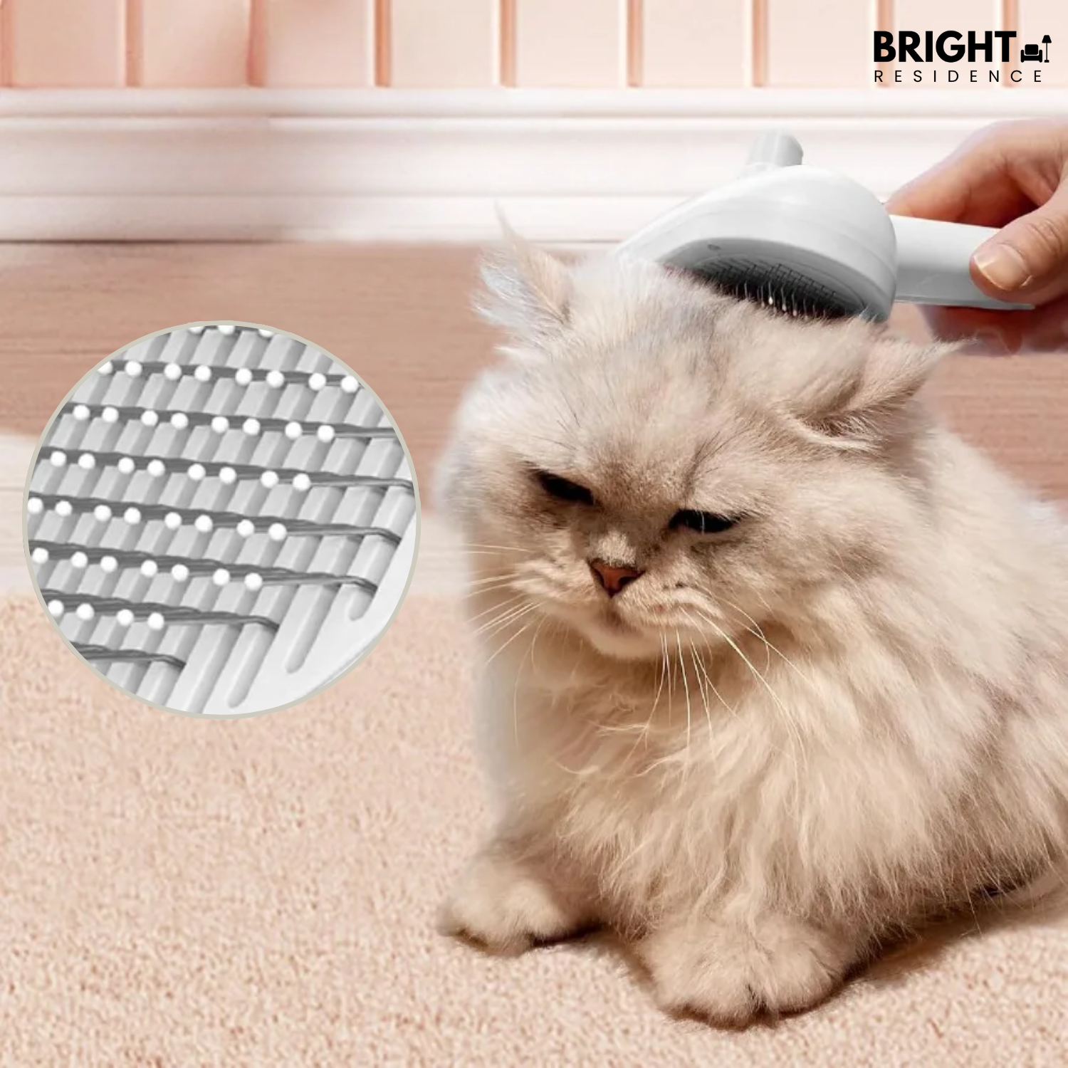 SteamCare – The Ultimate Steam Brush for Effortless Grooming