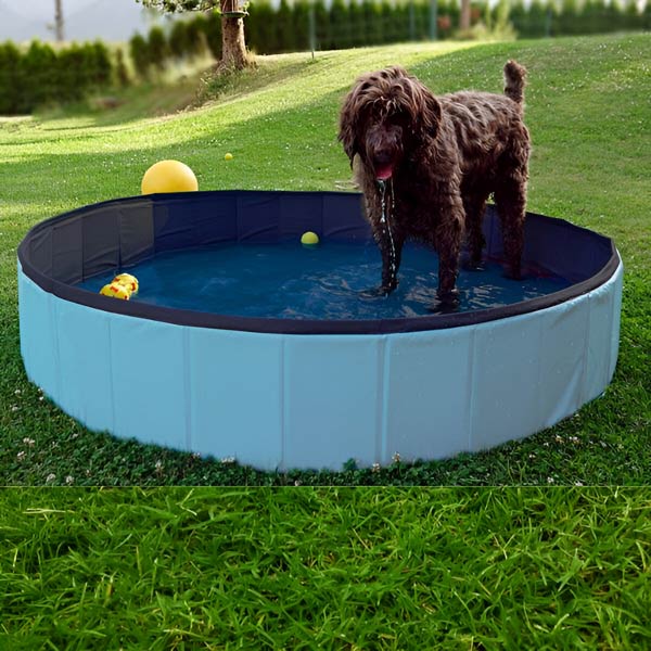FoldiPool – The Foldable Pool for Pets and Kids – Fun, Safe, and Convenient