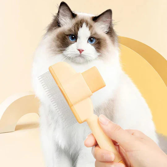 PawCare – Effortless Grooming for Happy, Healthy Pets