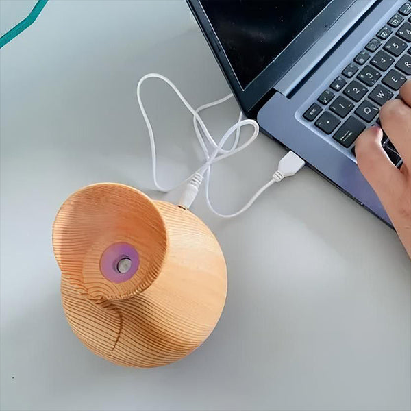 AromaMist – Compact LED Humidifier with Essential Oils