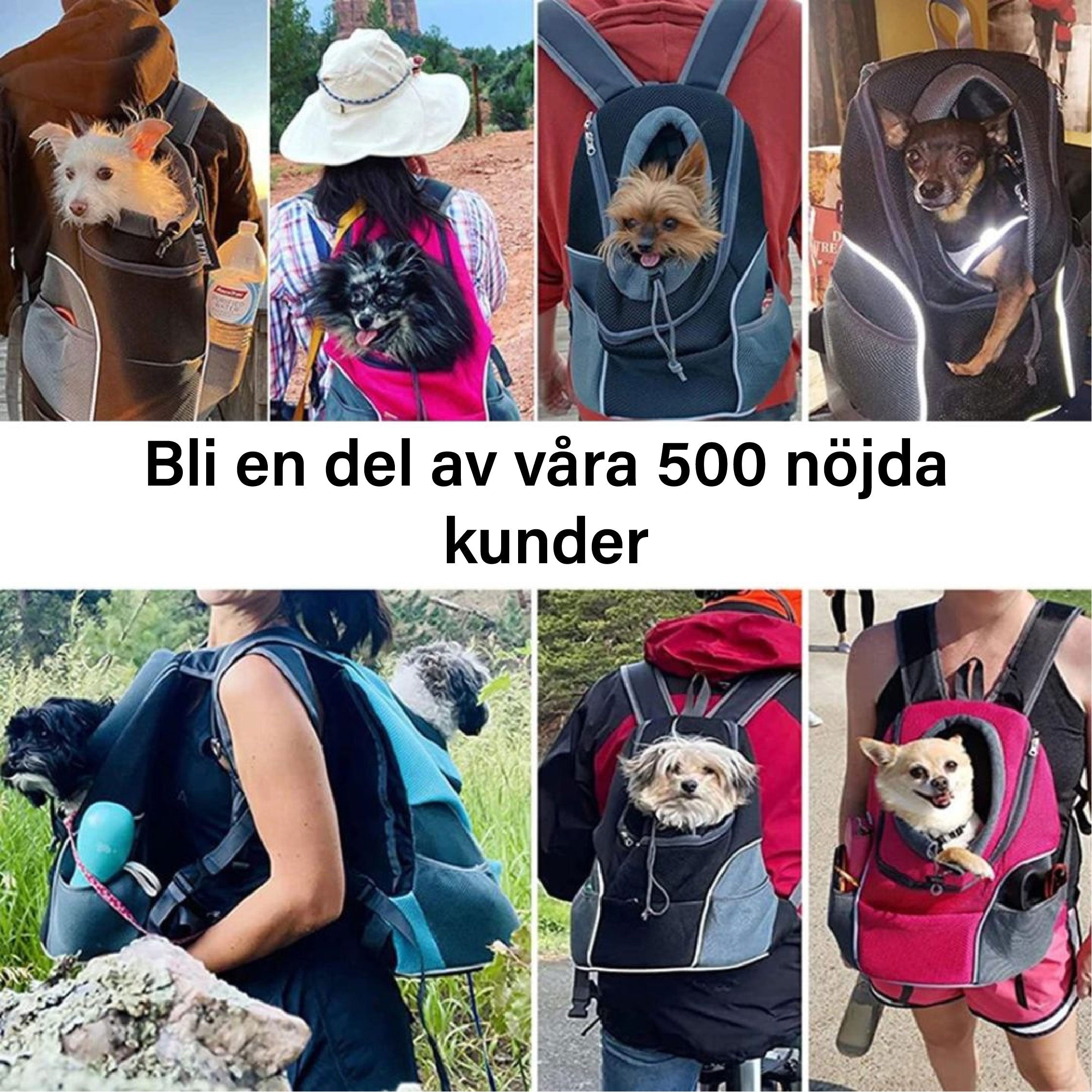 PawCarry – Your Pet's Perfect Travel Companion