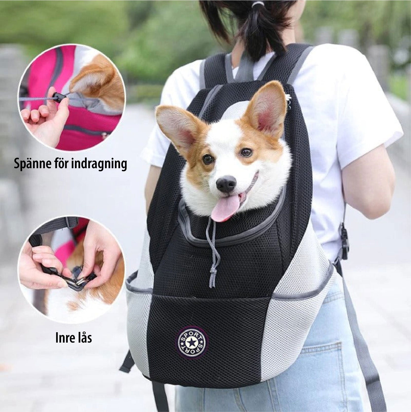 PawCarry – Your Pet's Perfect Travel Companion