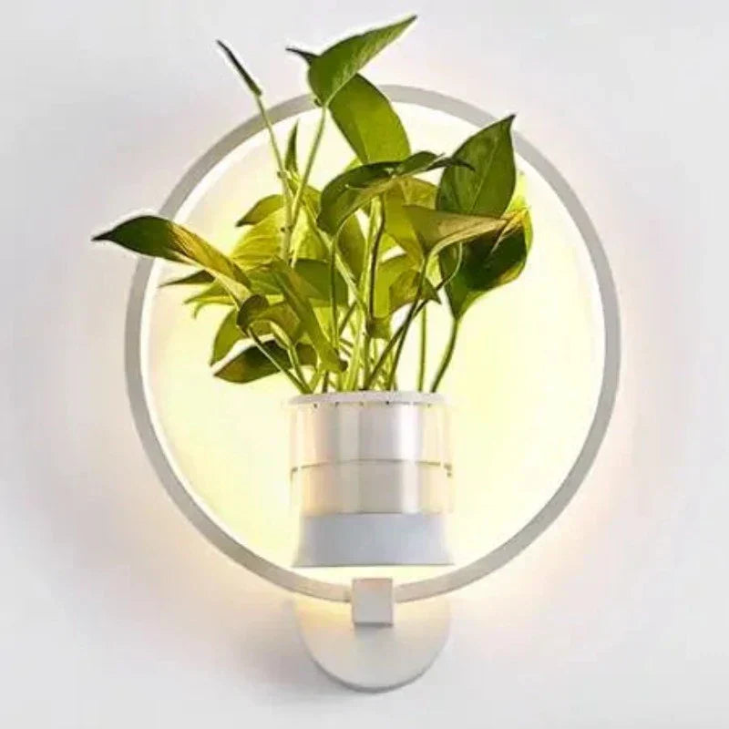 GlowPlant - wall light with style & integrated planter