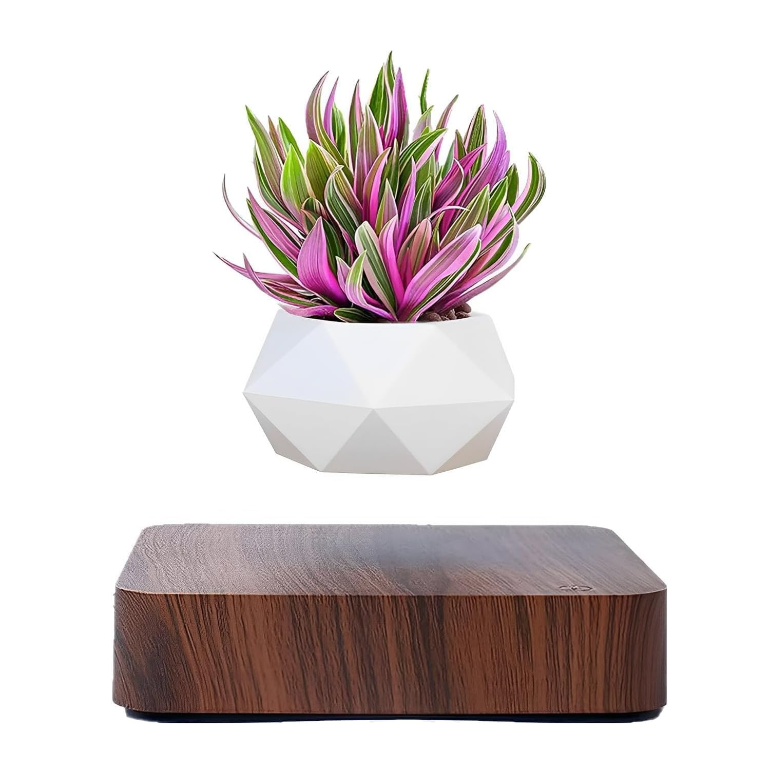 Plantlev – Floating Plant Pot with 360° Rotation for Modern Living